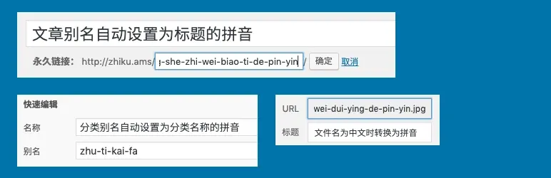 Wenprise Pinyin Slug插件设置教程：彻底解决WordPress中文URL乱码与SEO优化